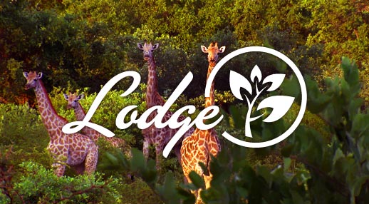 Lodge Hotels